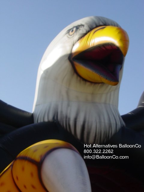 Heritage Christian Academy Rockwall Texas Eagles Football Tunnel